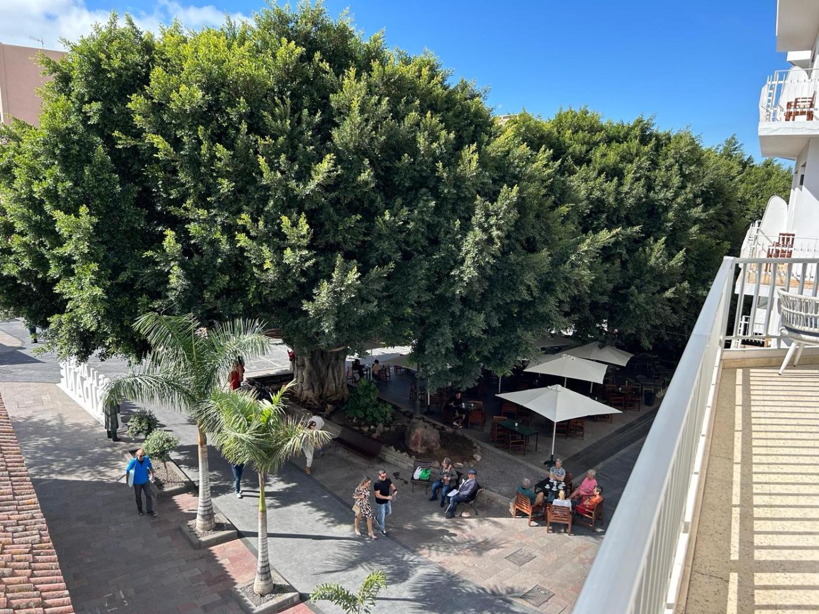 Ferienwohnung Vista Plaza - Exceptional Location Los Llanos De Aridane Exterior foto